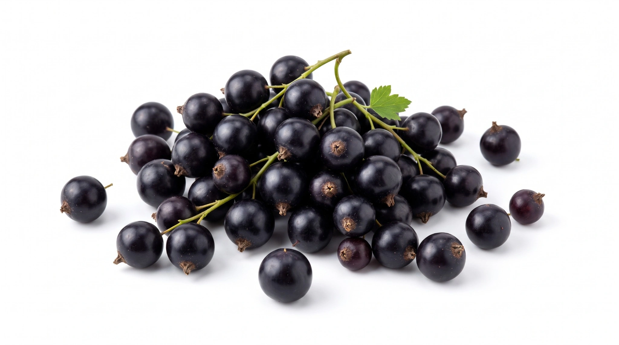 Blackcurrants, Raw