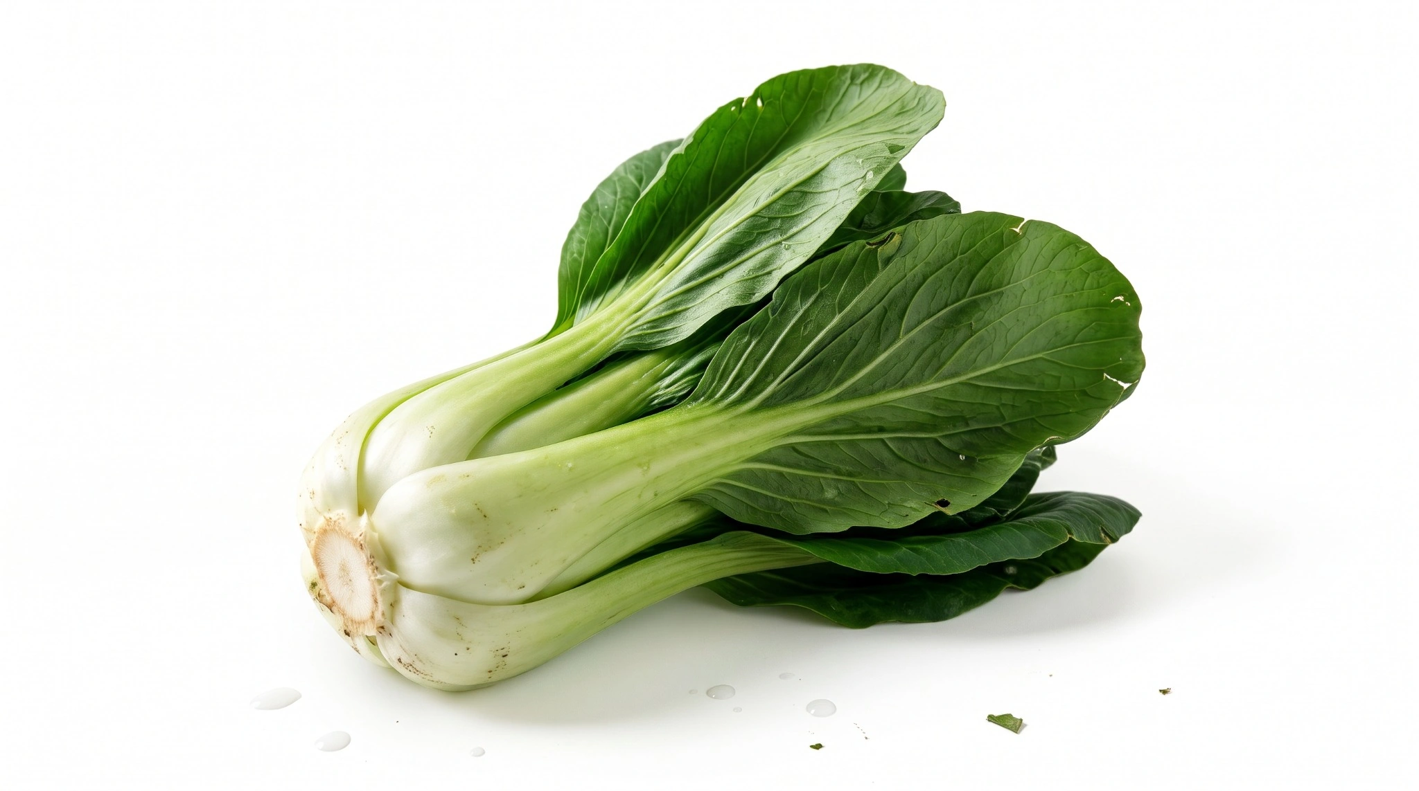 Bok Choy