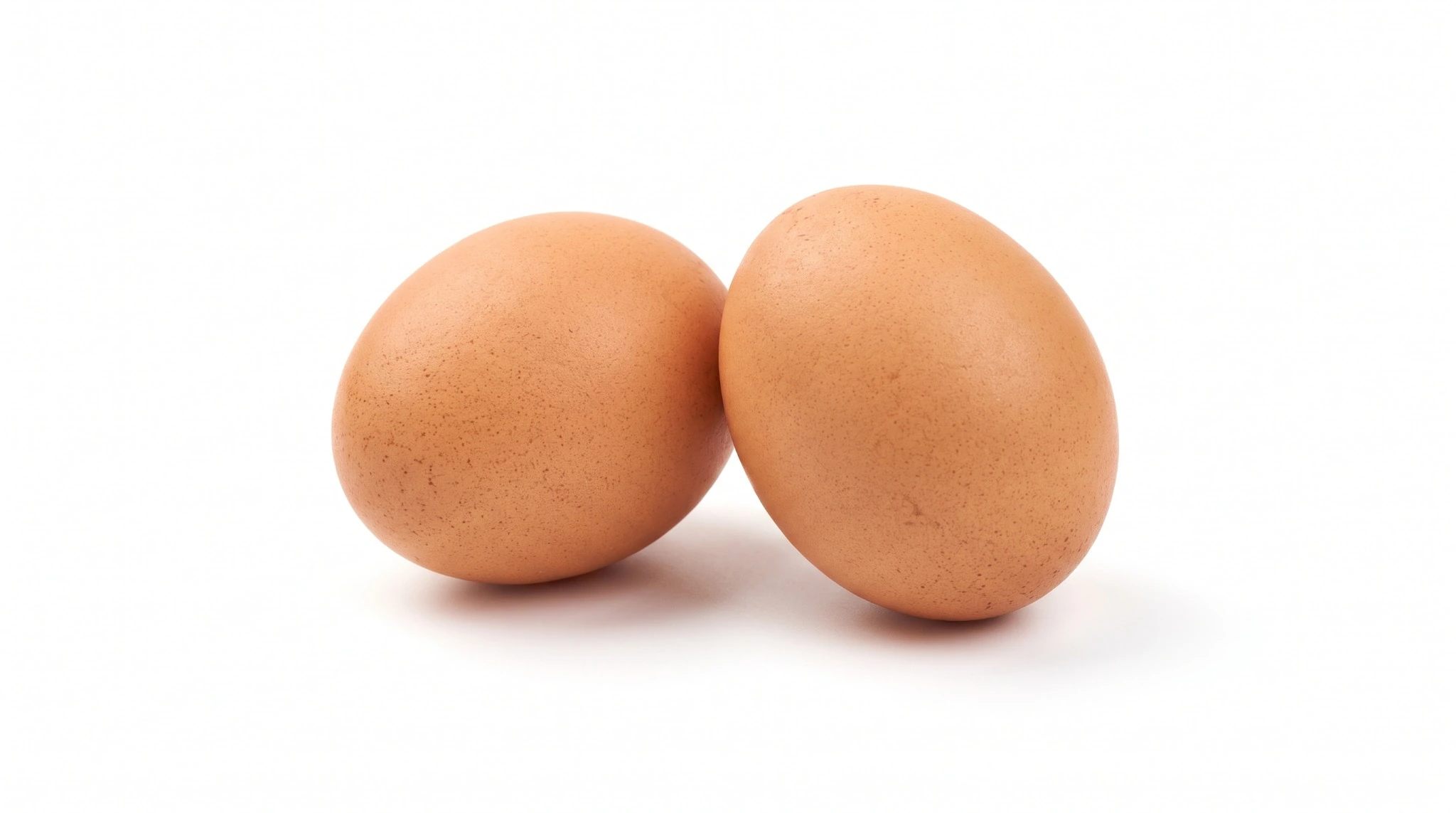 Egg, Whole