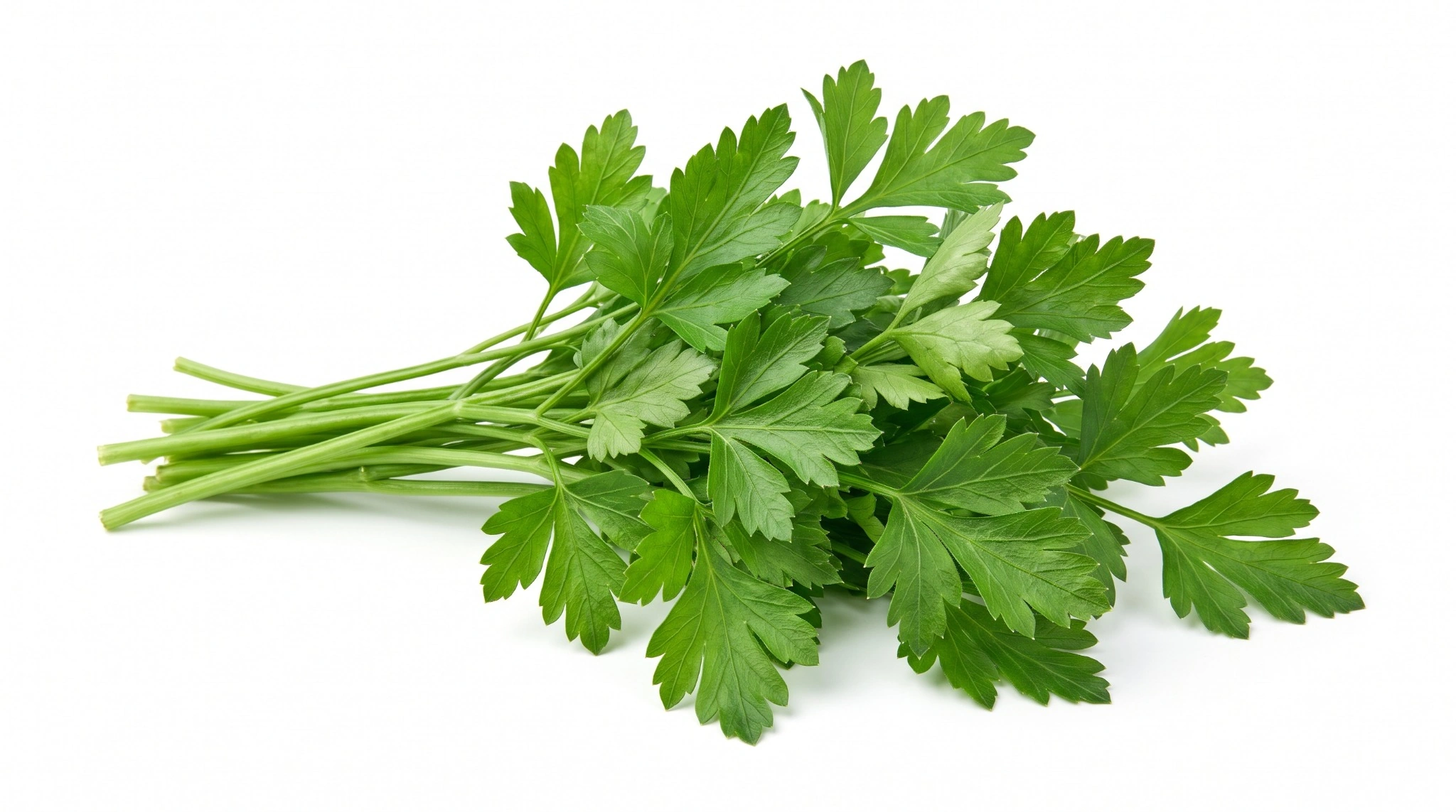 Parsley, Fresh