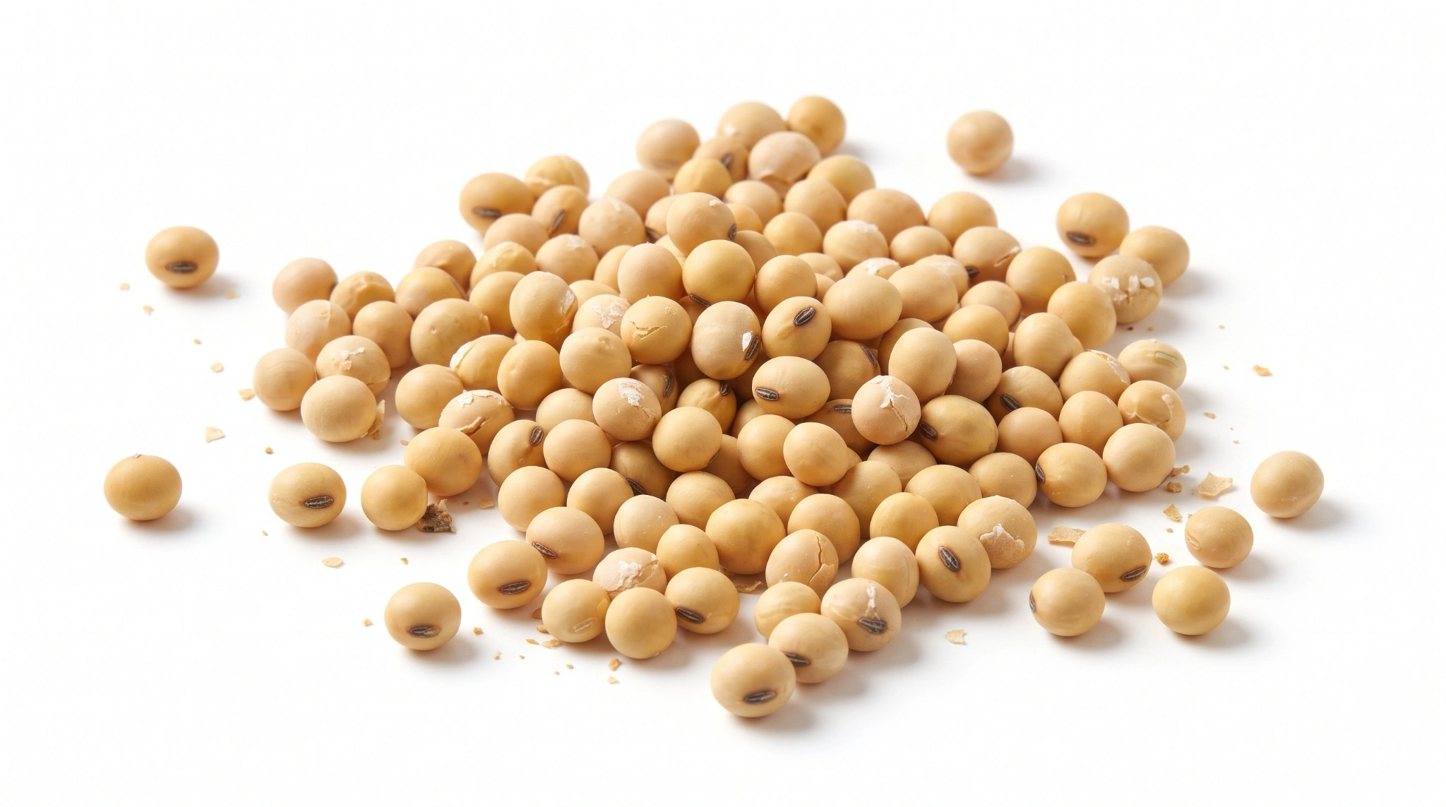 Soybeans, Mature Seeds, Raw
